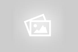 Видео: кошки, коты, котята породы русской голубой
