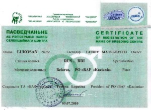 Свидетельство о регистрации питомника